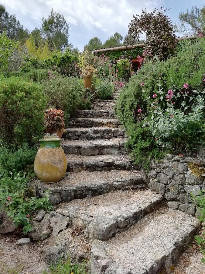 Chambre D'Hote Le Mas Des Romarins Les Arcs-sur-Argens Zewnętrze zdjęcie