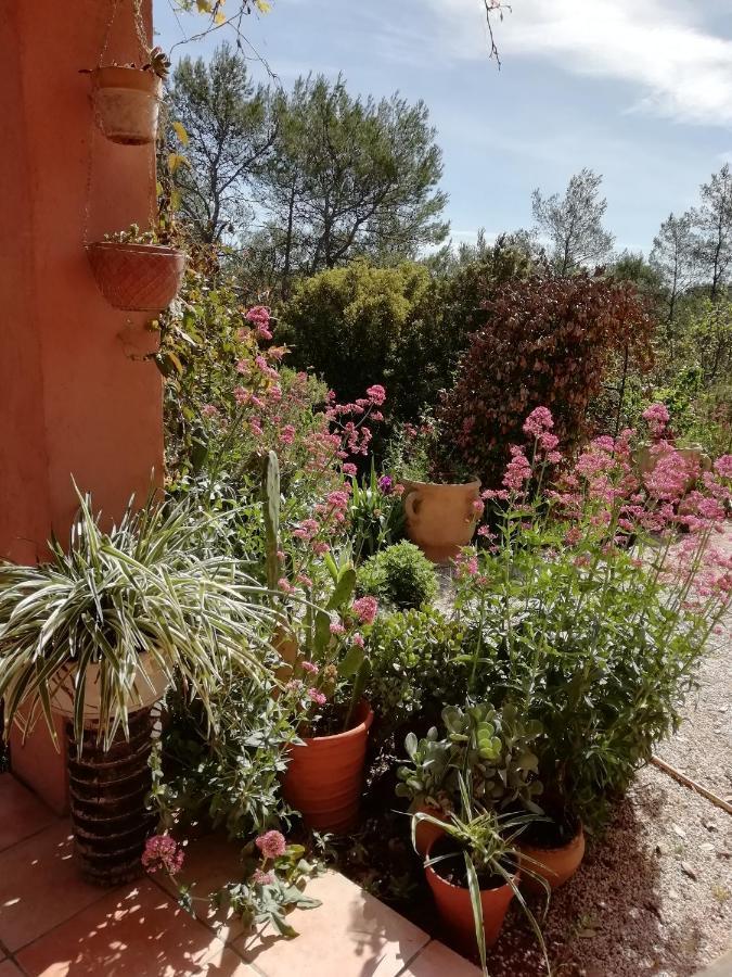 Chambre D'Hote Le Mas Des Romarins Les Arcs-sur-Argens Zewnętrze zdjęcie