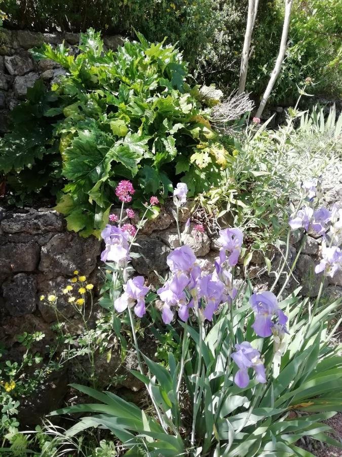 Chambre D'Hote Le Mas Des Romarins Les Arcs-sur-Argens Zewnętrze zdjęcie